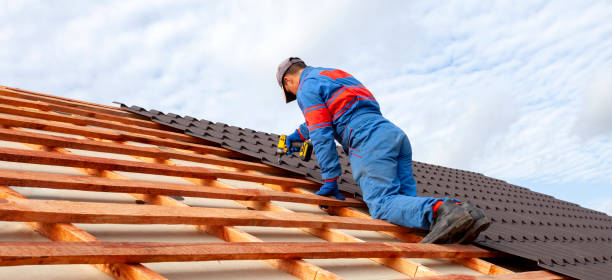 Best Asphalt Shingle Roofing  in North Sarasota, FL
